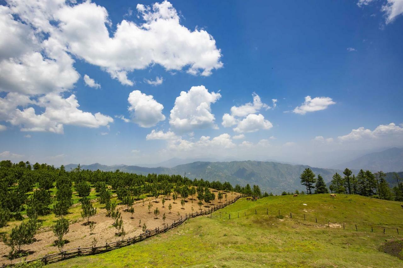 Zostel Homes Kotkhai Shimla Exterior photo
